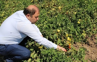 Şahin, Erzincan'da toplam 20 bin 97 işletme...