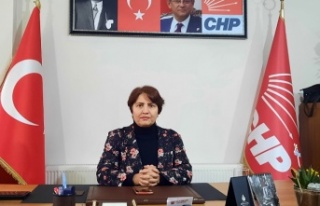CHP Erzincan İl Başkanlığına Fevziye Köylü...