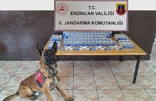 Erzincan İl Jandarma Komutanlığı Çalışmalarını...