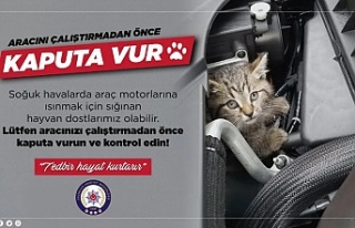 ‘Minik Dostlarımızı Unutma Kaputa Vur’