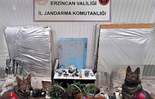 Erzincan’da uyuşturucu operasyonu