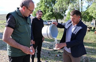 Erzincan’da Maya İçin Süt Örneği Toplanıyor