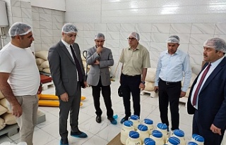 Tulum Peynirleri soğuk hava depolarında bekleme...