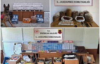 Erzincan'da kaçakçılık olaylarına karşı...