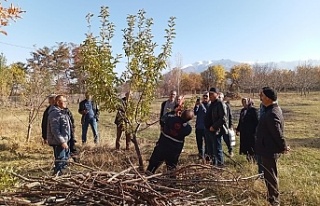 Erzincan'da teorik ve pratik ağaç budama eğitimleri...