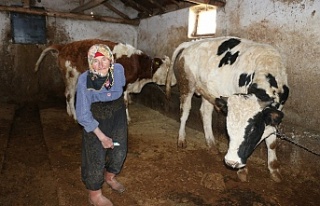 Erzincan’da 79 yaşındaki kadının mücadelesi...