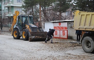 Mazgallar için temiz önlem
