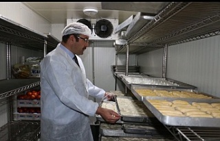 Erzincan’da geçtiğimiz yıl 3 bin 565 denetim...