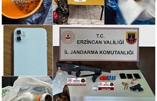 Erzincan’da Jandarma olayların yüzde 99’unu...