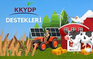 Erzincan’a yatırım yapanlara hibe var