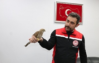 Erzincan’da ekipler, kerkenez için seferber oldu…