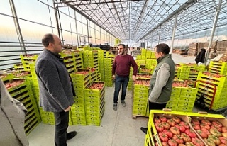 Erzincan’da sebze üretimine devam ediliyor