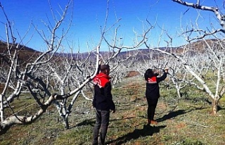 Bordo bulamacı uyarıları geldi