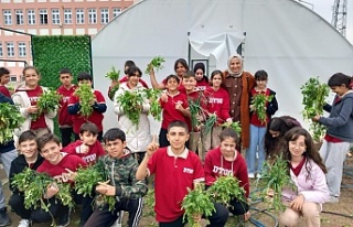 Erzincan'da öğrenciler kışlık sebze hasadına...