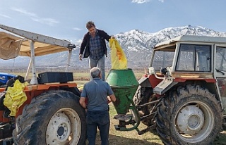 Erzincan'da meralarda gübreleme çalışması...