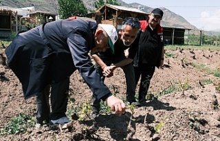 Erzincan’da Bağlarda Yoğun Denetim