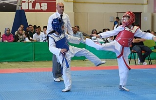Erzincan’da Taekwondo il birinciliği tamamlandı