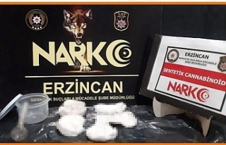 Otobüs Yolcusunun Valizinden Kullanımlık Bonzai...