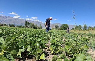 Erzincan’da TAKE Projesi Kapsamında Yeni Kuru Fasulye...