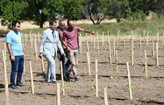 Erzincan’da uzun yıllar süren çalışmaların...