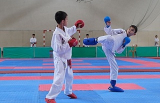 Karate Heyecanı Erzincan'da başladı