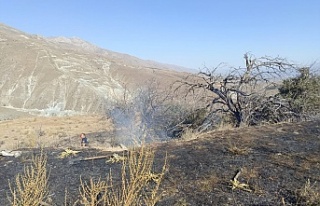 Erzincan’da Anız Yangını Ağaçlık Alana Sıçradı