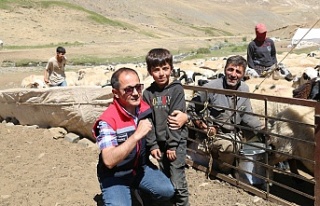 Erzincan Yaylalarında Üretim Tamam