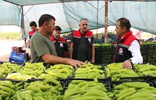 Erzincan’da en çok fide diken çiftçi oldu