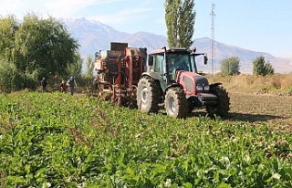 Erzincan’da hasat devam ediyor