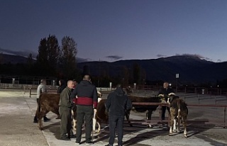 Kapılarını yeniden yetiştiricilere açtı
