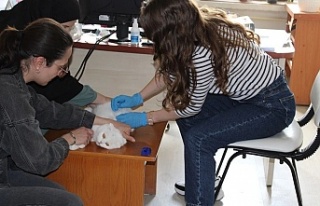 Kedi ve Köpek Sahipleri Dikkat