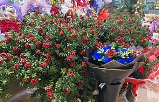 Erzincan’da Yeni Yılın En Popüler Çiçeği