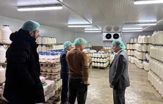 Erzincan Tulum Peyniri, Asırlık Lezzetini Modern...