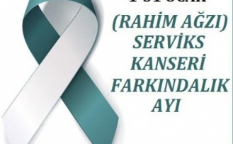 Serviks  kanseri farkındalık ayı