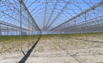 Erzincan Jeotermal Seralarla Yükseliyo