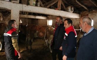 Üreticilere Yerinde Destek