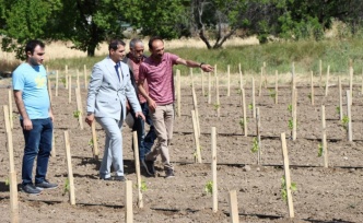 Erzincan’da uzun yıllar süren çalışmaların ardından tescil ettiriliyor