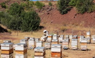 Erzincan, Balın Altın Diyarı