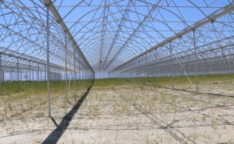 Erzincan Jeotermal Seralarla Yükseliyo