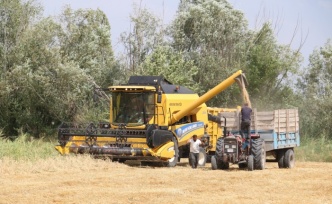 Erzincan’da buğday hasadında sona yaklaşıldı