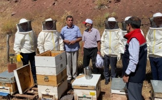 Erzincan’da Geven Balı Coşkusu: Hasat Başladı, Hedef Avrupa Tescili