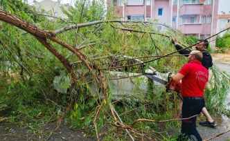 Erzincan’da Sağanak ve Fırtına Ağaçları Devirdi, Çatıları Uçurdu