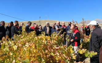 Üzüm bağlarında  eğitimler başladı