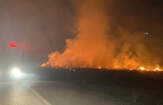 Erzincan’da örtü yangını