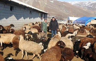 Erzincan’da zararları devlet tarafından karşılanan çiftçiler umutla üretiyor