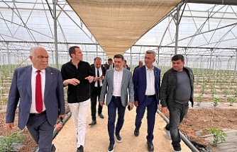 Erzincan seracılık alanında büyümeyi sürdürüyor