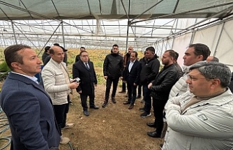 Erzincan Toplu Sera Bölgesi Yatırımcıları Tokat - Erbaa Kesme Çiçek Üretim Bölgesini Gezdi