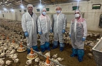 Erzincan pazar için üretiyor