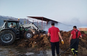 Erzincan’da Saman Yangını Korkuttu: Ekipler Alevleri Zamanında Kontrol Altına Aldı