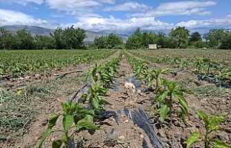 Erzincan genelinde 7.742 çiftçi faydalandı